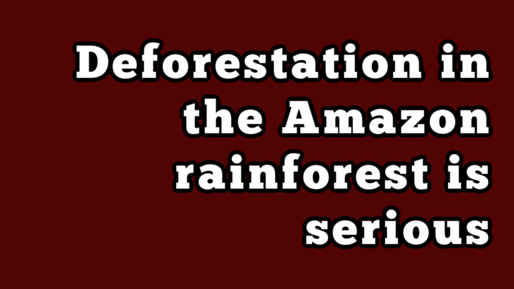 Amazon Biosphere YouTube Thumbnail Amazon Biosphere YouTube Thumbnail
