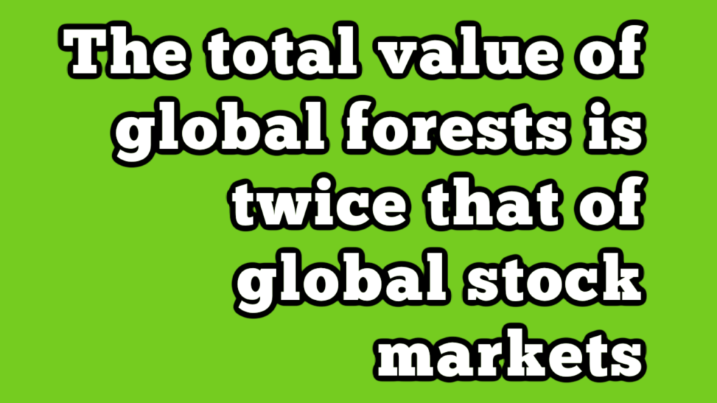 Forests YouTube Thumbnail Forests YouTube Thumbnail