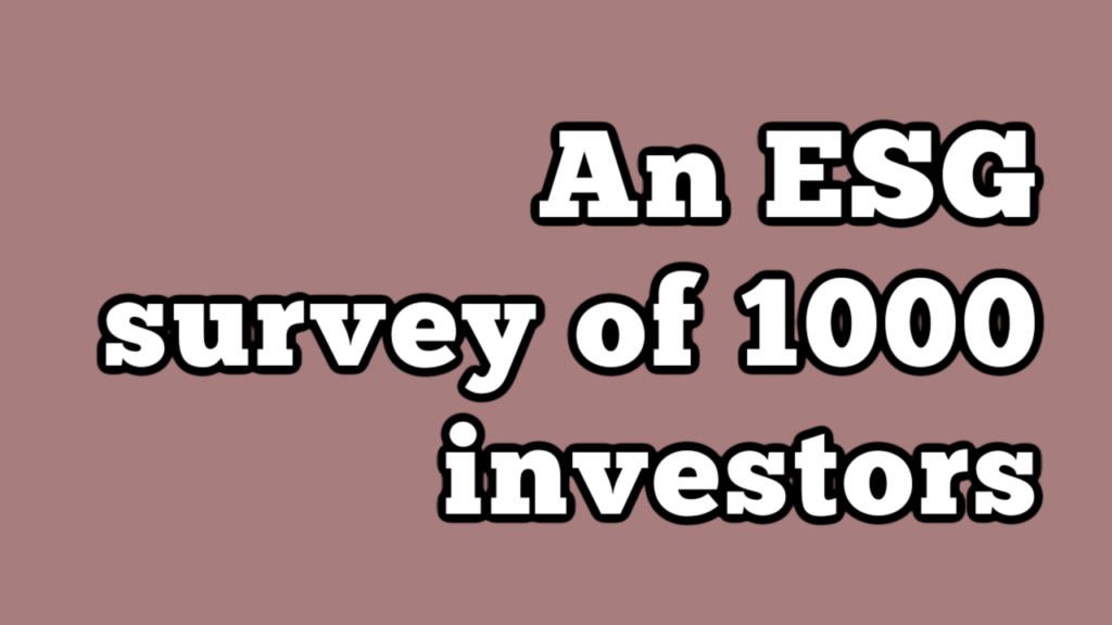 1000 Investors YouTube Thumbnail 1000 Investors YouTube Thumbnail