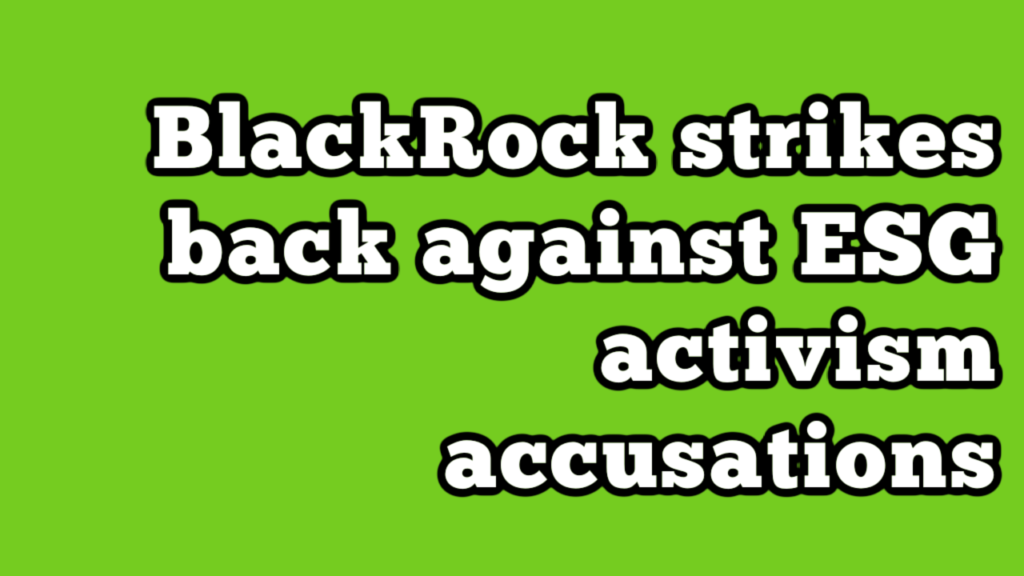 BlackRock Accusations YouTube Thumbnail