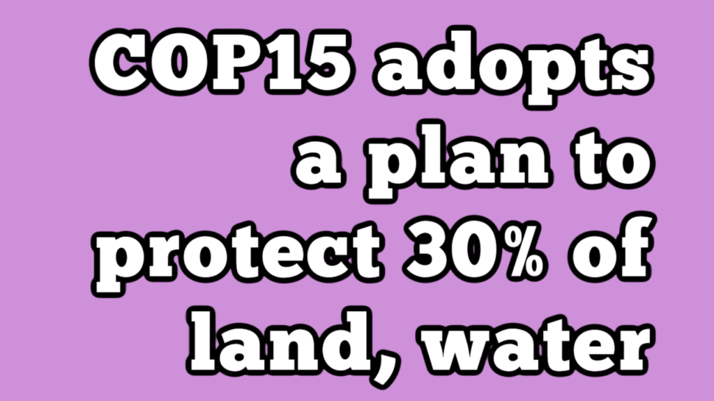 COP15 YouTube Thumbnail COP15 YouTube Thumbnail